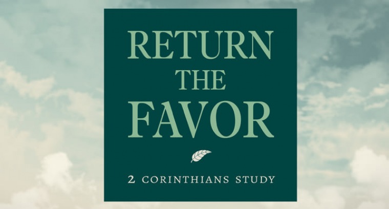 Return The Favor current series